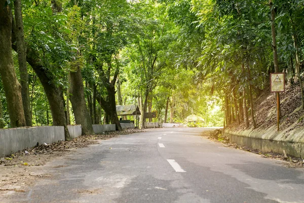 Μια Ρουστίκ Άδεια Εθνική Οδός Που Περιβάλλεται Από Καταπράσινα Δέντρα — Φωτογραφία Αρχείου