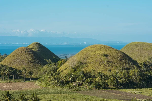 Grupo Las Famosas Colinas Chocolate Visto Desde Pico Sagbayan Lugar — Foto de Stock