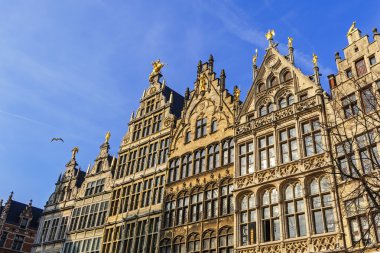 Grote Markt (büyük Pazar Meydanı), Antwerp, Belçika eski şehir Guildhouses