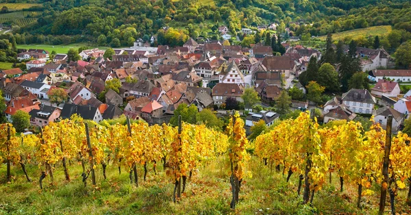 Pohled na vesnici Andlau a vinice z kopce na podzim, Alsasko, Francie — Stock fotografie