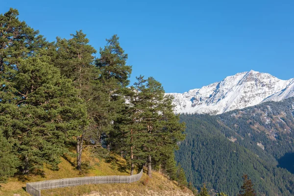 Natuurlijke Achtergrond Met Alpiene Besneeuwde Toppen Hellingen Begroeid Met Naaldbos — Stockfoto