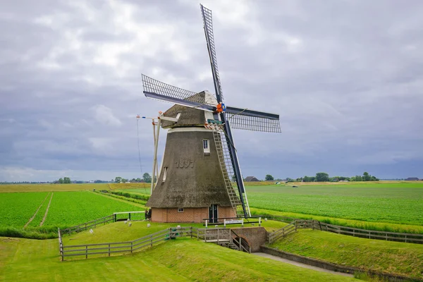 Mill "Goliat", beläget i provinsen groningen, i nether — Stockfoto