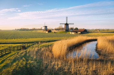 Akşam ışık, Hollanda Eilandspolder yanında eski su değirmeni