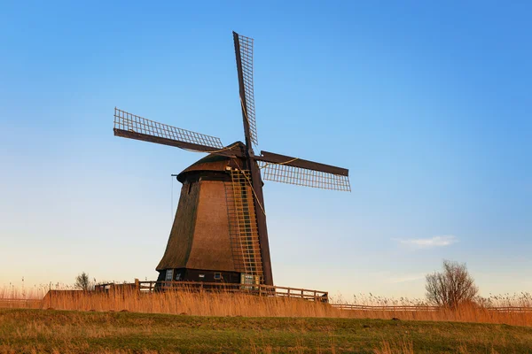 Oude watermolen naast Eilandspolder in avondlicht, Nederland — Stockfoto