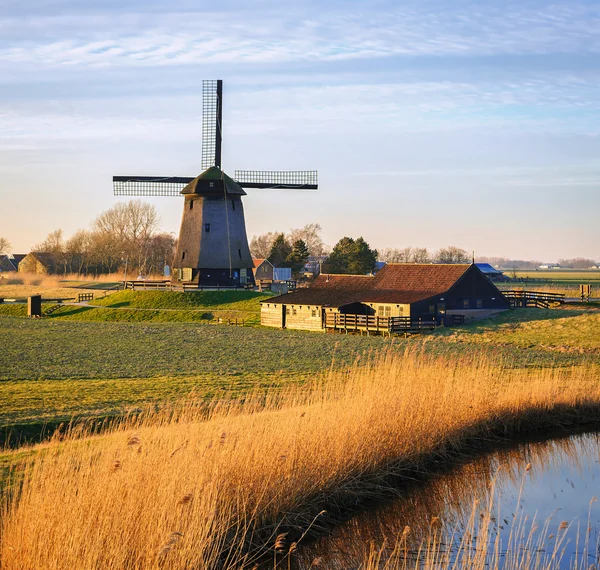 Oude watermolen naast Eilandspolder in avondlicht, Nederland — Stockfoto