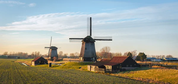 Old water mills beside Eilandspolder in evening light, the Netherlands — Stock Photo, Image