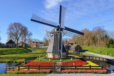 Açık Hava Müzesi Enkhuizen, Hollanda çiçek açan laleler çevrili yel değirmeni