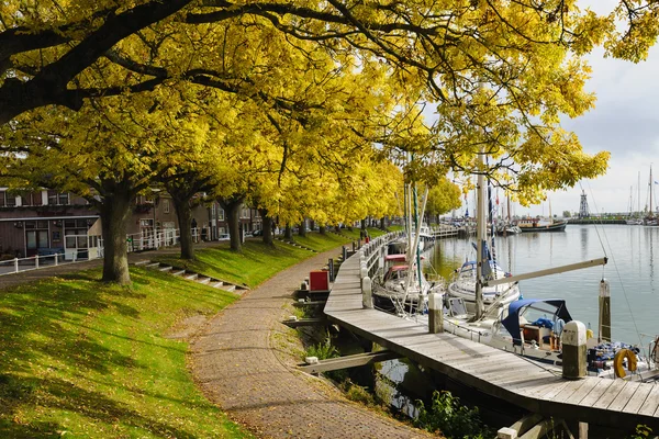 Höstfärger i hamnen i Enkhuizen, Nederländerna — Stockfoto