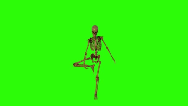 Скелет делает упражнения йоги, анимация, зеленый фон, петля — стоковое видео