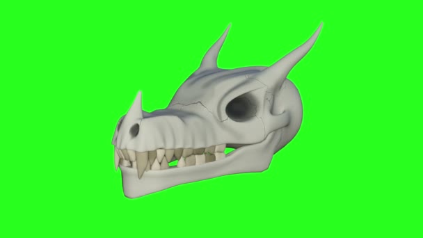 Dragon Skull, Animation, Green Background — Stock Video