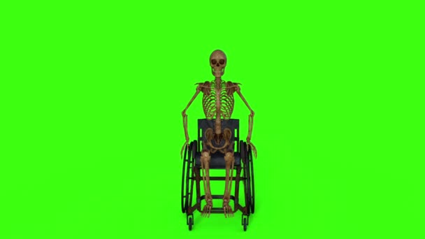 Σκελετός ζόμπι τροχαίο σε αναπηρική καρέκλα, κινούμενα σχέδια, πράσινο φόντο — Αρχείο Βίντεο
