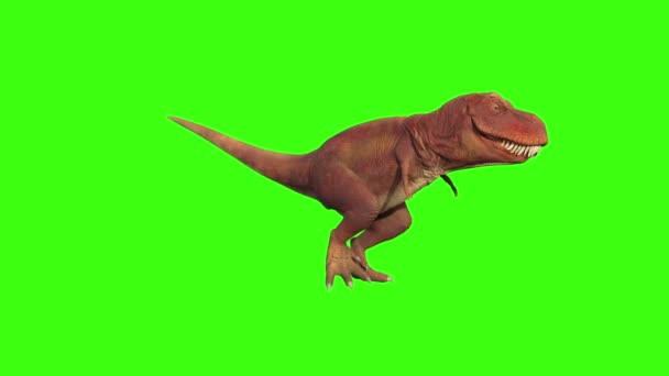 Modelo dinosaurio bailando, animación, fondo transparente — Vídeo de stock