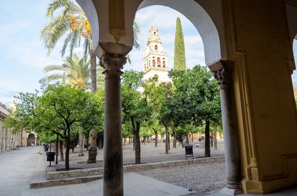 Veduta della Moschea di Alcazar e Cattedrale — Foto Stock