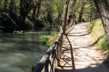 Bahar parkta Gölü.