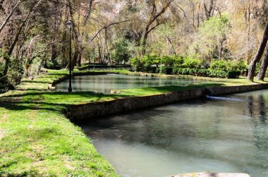 Bahar parkta Gölü.