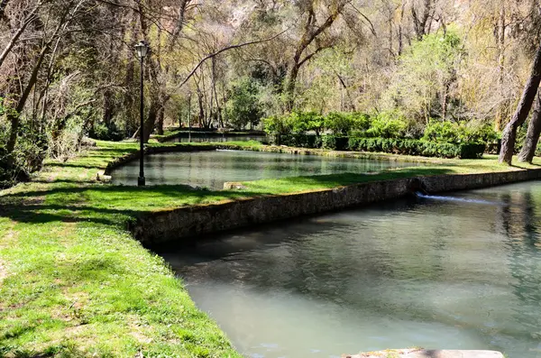 Bahar parkta Gölü.