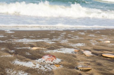 Deniz su yüzeyinde beyaz köpük