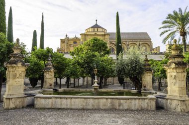 Alcazar ve katedral cami