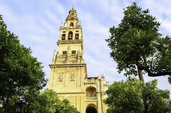 Vista de la Mezquita de Alcázar y Catedral —  Fotos de Stock