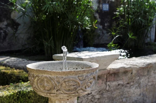 Cordoba, Bahçe