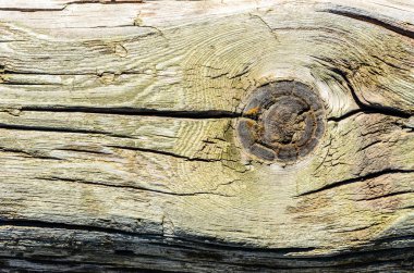 Doğal desenli ahşap doku