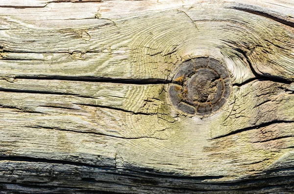 Текстура дерева з натуральним візерунком — стокове фото