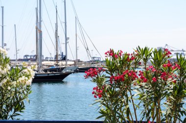 Bir liman içinde yerleşik tekneler