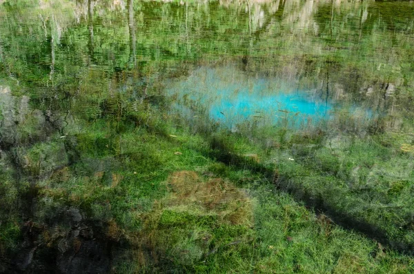 Озеро в весеннем парке . — стоковое фото