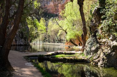 Bahar parkta Gölü.