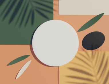 3d beyaz boş silindir çerçeve üst görünümünü maket için görüntüle ve palmiye yaprakları gölgeleri ve beyaz mavi arkaplan ile ürünleri görüntüle. Yaratıcı fikir kavramı.