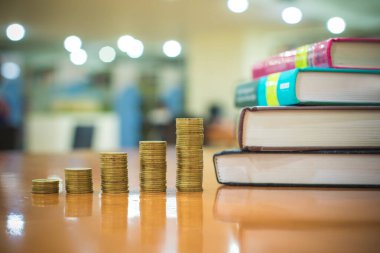 Altın sikkeler kitapların yanındaki sütunlarda dikey dururlar. Gelir artışı kavramı