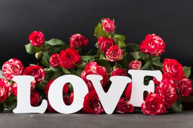 Beyaz yazıtlara göre aşk, kırmızı güllerin arka planına karşı beton üzerinde