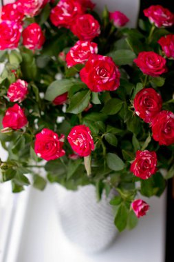 Gümüş bir vazoda kırmızı küçük güller.