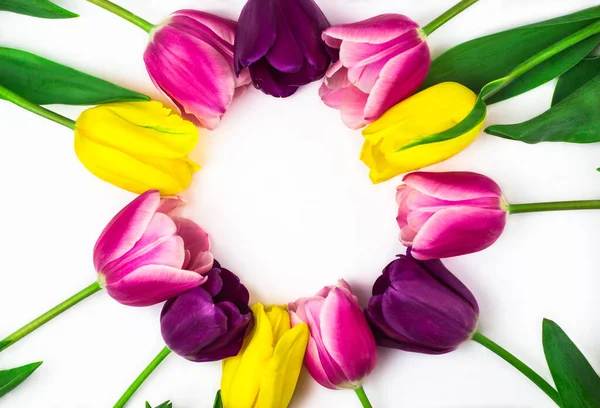 Kytice tulipánů růžových, žlutých a fialových květů tvořících rámeček textu. Pohled shora. Místo pro text. Bílé pozadí Royalty Free Stock Fotografie