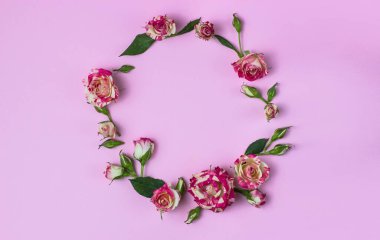 Kartpostal Küçük gül ve yapraklardan oluşan yuvarlak bir çerçeve. Pembe arka plan. Yukarıdan görüntüle