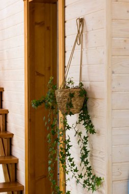 Ev dekorasyonu bej renginde. Dağlarda bir evin içinde.