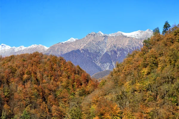 Σότσι. Rosa Khutor. Βουνά — Φωτογραφία Αρχείου