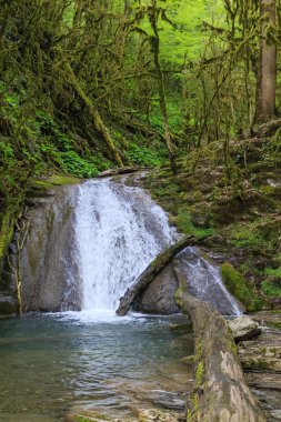33 şelaleler, Sochi.