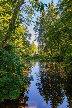 Mon Repos Park. Peyzaj ve konumlar.