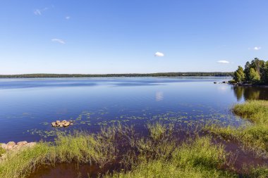 Mon Repos Park. Peyzaj ve konumlar.