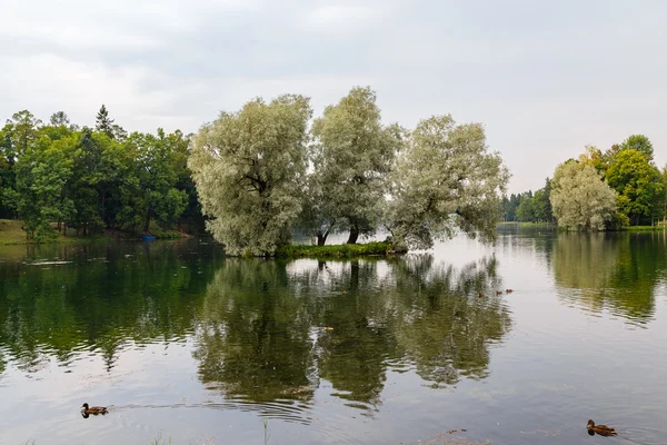 Gatchina. Parque de Gatchina . — Foto de Stock