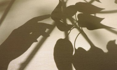 Eskimiş bej kumaş dokusunda gün batımı ve ışık. Büyükannemin klasik tekstil geçmişi. Çiçekli kadın eli ve çizgiyi aşan gölgelerle soyut arkaplan.