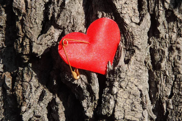 Червоне Серце Прикріплене Кори Дерева Золотим Штифтом — стокове фото