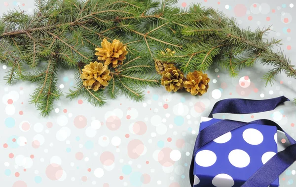 Regalo Año Nuevo Las Ramas Del Árbol Navidad Los Conos —  Fotos de Stock