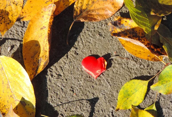 Rote Brennende Herzflammen Auf Dem Boden Love Concept Creative Valentines — Stockfoto