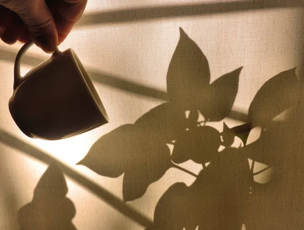 Mano Sosteniendo Una Taza Café Volcado Luz Sombra Puesta Del — Foto de Stock
