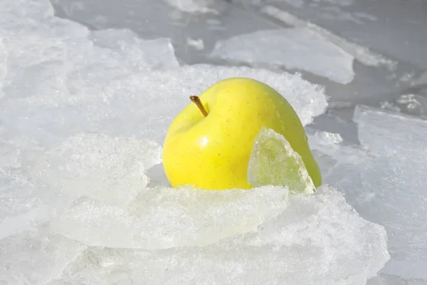 Jaune Mûr Pomme Sur Neige Glacée — Photo