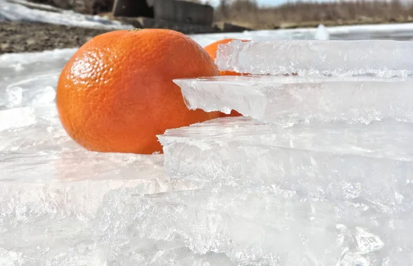 Rijpe Sappige Mandarijnen Het Ijs — Stockfoto