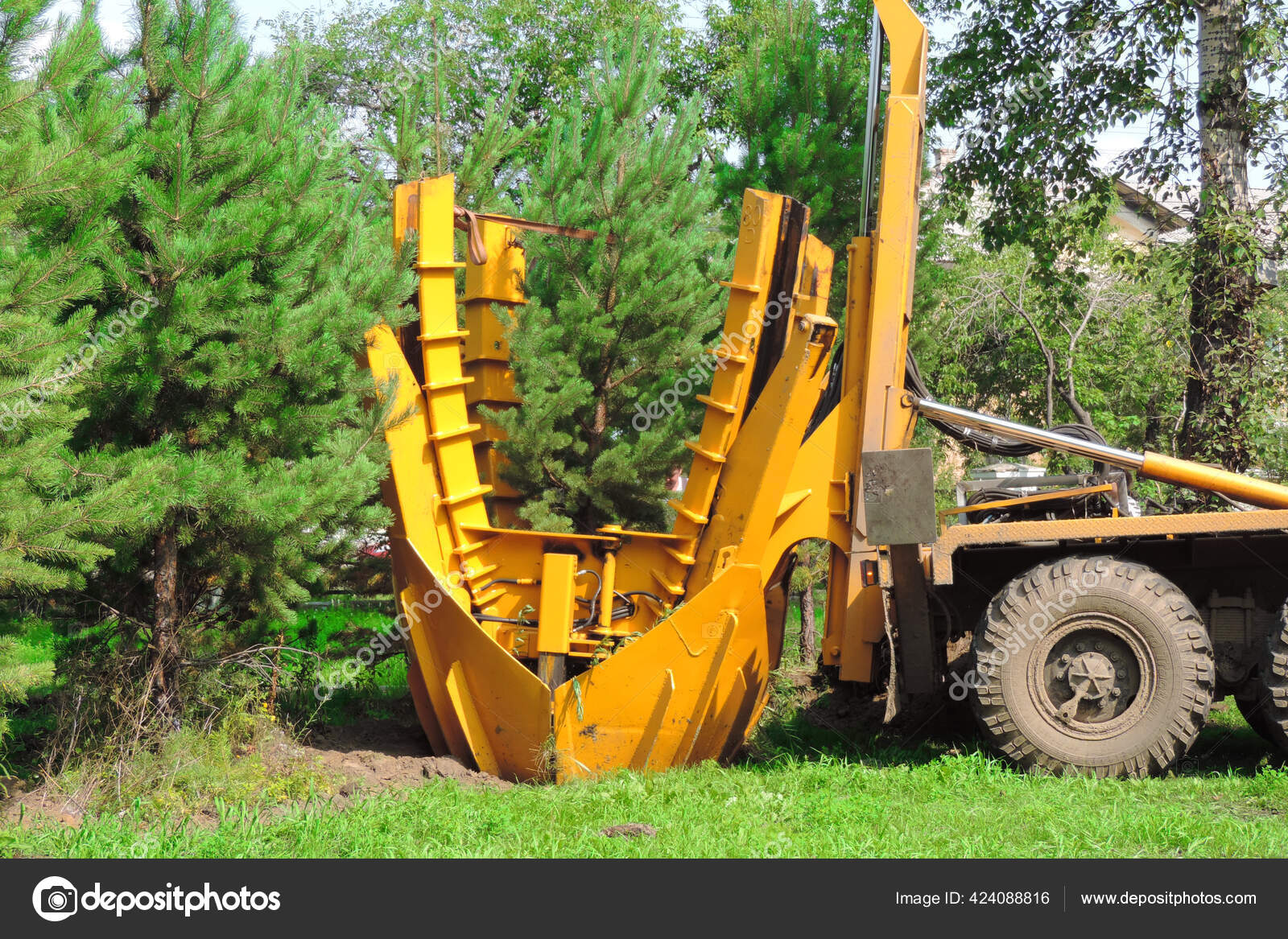 Tree Transplanter Heavy Machine Machine Transplanting Large Trees ...