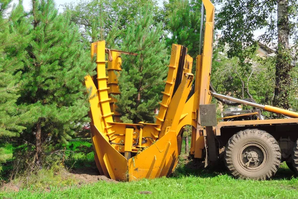 Ağaç nakli makinesi. Büyük ağaçları nakletmek için bir makine. Parka büyük çam ağaçları dikiyorum.